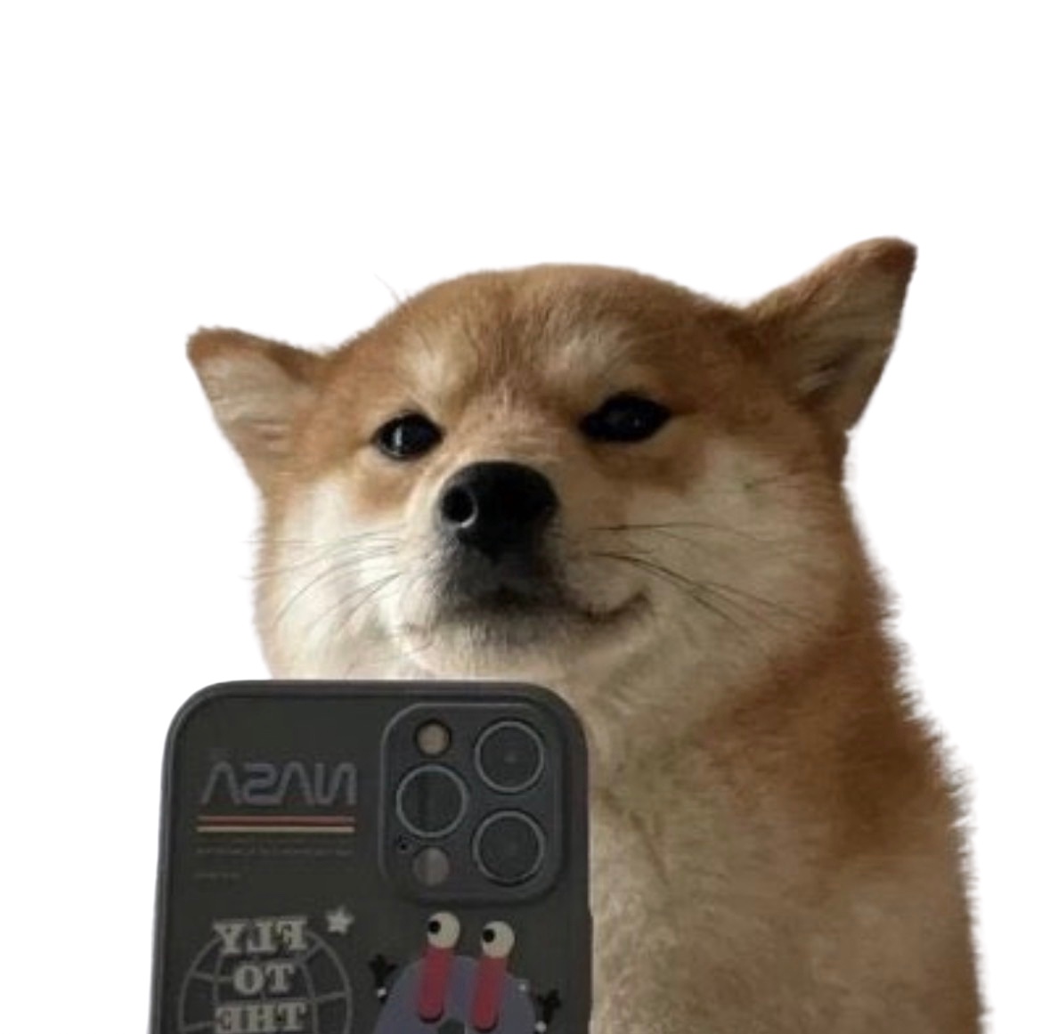 The original Selfie Dog with his black NASA phone case
